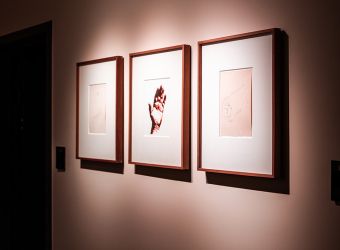 galerie The Hands of Art