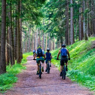 Balade en VTT dans la foret de Durbuy