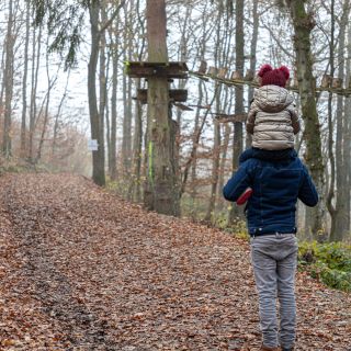 balade dans la foret