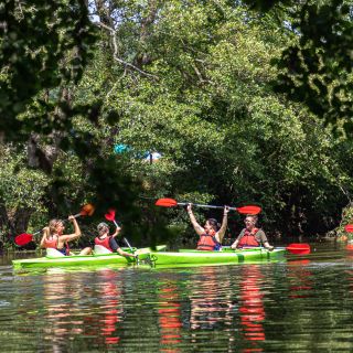Kayak