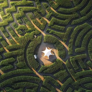 Labyrinthe