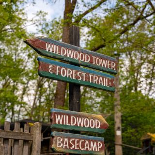 wildwood