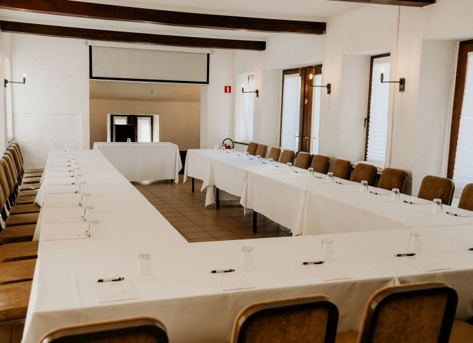 Salle de séminaire 2 sanglier