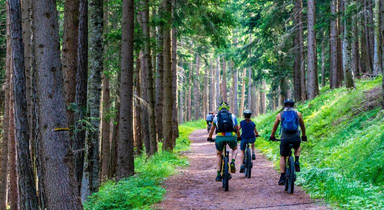 Balade en VTT dans la foret de Durbuy